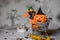 Witch and orange pumpkin in black hat in the small shopping cart