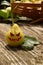The Witch Pear - Halloween Series.  pear for halloween. Halloween face on the pear