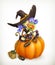 Witch on pumpkin illustration