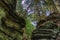 Witches Gulch is a hidden Attraction in Wisconsin Dells and can