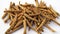 Withania somnifera or Ashwagandha, Indian powerful herbs, healthcare and reduce stress