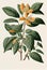 Withania Somnifera, Ashwagandha, Winter Cherry Medicinal Adaptogenic Plant, Abstract Generative AI Illustration