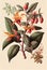 Withania Somnifera, Ashwagandha, Winter Cherry Medicinal Adaptogenic Plant, Abstract Generative AI Illustration