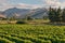 Wither Hills in Marlborough region in New Zealand with vineyard