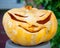 Withered Halloween Jack O\'Lantern after Sitting in Hot Sun