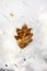 Withered maple leaf on white snow, vertical. leaf, maple leaf