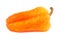 Withered orange bell pepper isolated