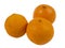 Withered oranges on white background
