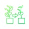 Withered plant gradient linear vector icon