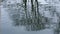 Withered tree crown reflection on rippled lake in winter