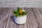 Withered yellow primrose in a flower pot