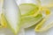 Witloof Belgian endive/ chicory fresh leaves