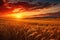 Witness the breathtaking sight of the sun setting over a vast wheat field, creating a stunning display of vibrant colors., Rural