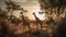 Witness the captivating sight of multiple giraffes in their natural habitat, their towering figures and gentle movements painting