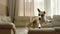 Witness the crazy antics of a funny, active dog running and jumping indoors, Ai Generated