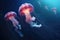 Witness the enchanting beauty of a group of jellyfish as they peacefully float in the vast expanse of the ocean, Jellyfish in the