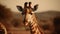 Witness the gentle elegance of a giraffe as it traverses the savannah, its slender form and swaying gait painting a picture of