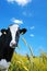 Witty cow, Dairy cow with prairie as background