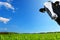 Witty cow, Dairy cow with prairie as background