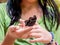 Wizard butterfly hanging on girl\'s finger, outdoor in nature