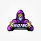 Wizard mascot logo icon design, mascot logo, Wizard  logo, magic logo, logo design, Wizard icon design, gaming logo design, Skull