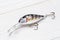 Wobbler perch or pike bait. Fishing bait tackle and baubles for fishing