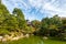 Wodden buddhist temple among autumn colorful trees in Kinkaku-ji park in Kyoto, with green water pond, Japan.