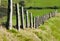 Wodden Posts with Metal Wire Fence in Cattle Field