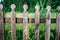 Woden fence made of oak wood