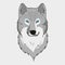 Wolf animal face. Grey wolf head. Vector illustration