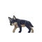 Wolf cub is looking for prey. Cartoon character of a dangerous mammal animal. A wild forest creature with dark fur. Side