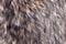 Wolf fake fur texture background