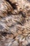 Wolf faux fur texture