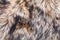 Wolf faux fur texture