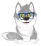 Wolf in glasses