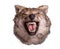 Wolf head with angry face on white background
