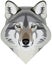 Wolf head face, western gray wolf mascot vector illustration