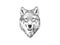 Wolf head vector hand drawn. smiling wolf isolated