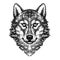 Wolf head vector logo