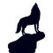 Wolf on a hill with his head raised, howling, silhouette on a white background, close up