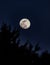 The Wolf Moon, dark full moon, latest moon photo 2022