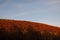 Wolf mountains, wilcze gÃ³ry, bieszczady, autumn