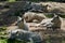 Wolf pack of big and white Hudson Bay Wolf, lives in the Arctic and at the northwestern coast of Hudson Bay in Canada.