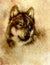 Wolf painting, old paper background and sepia effect.