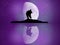 Wolf reflected in the moonlight