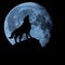 The wolf on the rock howls at the moon