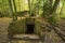 Wolf`s Lair, Adolf Hitler`s Bunker, Poland. First Eastern Front military headquarters, World War II. Complex blown up, abandoned