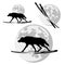 Wolf, samurai katana sword and full moon disk vector silhouette design set