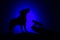 Wolf in silhouette howling to the full moon