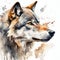 Wolf on splashed paint white background, watercolor illustration.